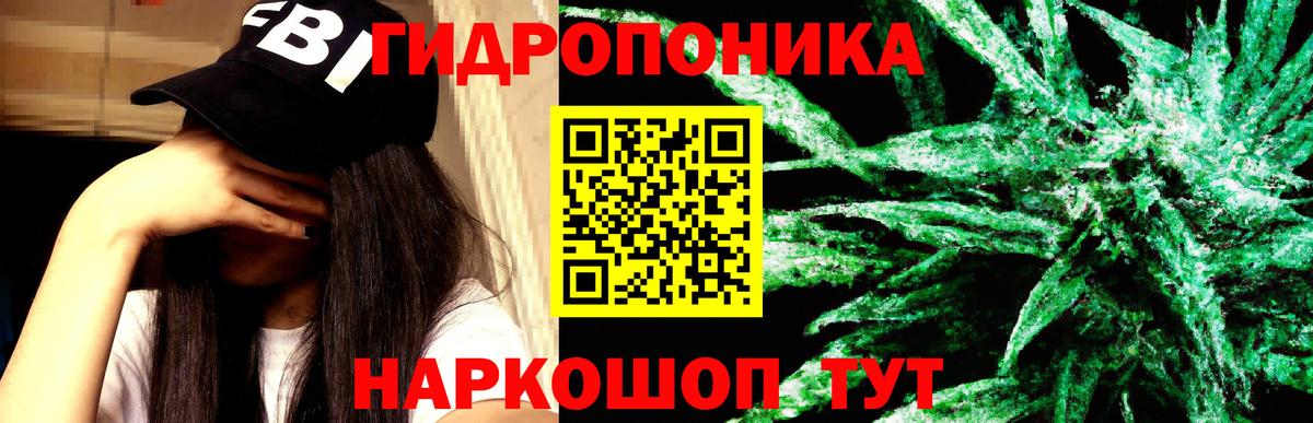 Бошки марихуана OG Kush  Каннабис планчик  Канабис планчик  Шишки марихуана ГИДРОПОН  Вход с VPN  Камышин 